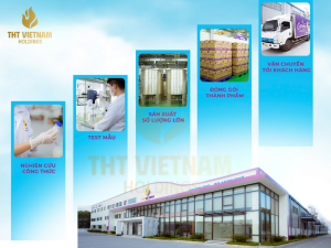 THT VIỆT NAM XUẤT KHẨU SẢN PHẨM TỚI CÁC NƯỚC NHƯ THẾ NÀO?